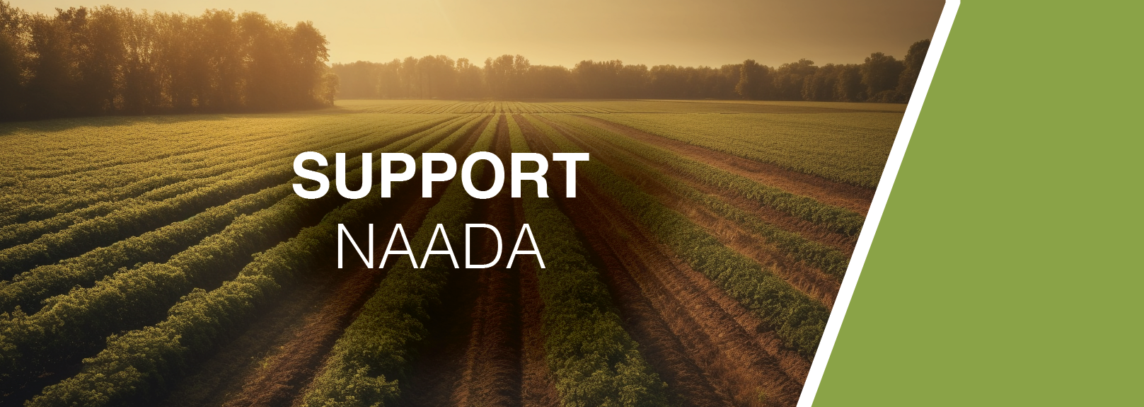 Support NAADA